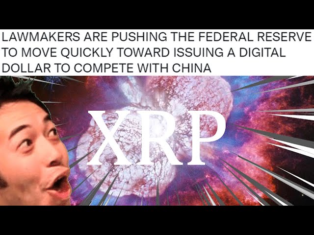 #xrp #ripple Ripple XRP I FELL OUT MY CHAIR ITS SO MIND BLOWING MY FACE MELTED!