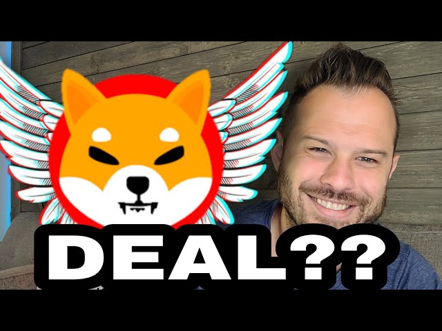 #SHIB #crypto Shiba Inu Coin | This Potential Partnership Could Be HUGE! SHIB Team Already In Talks!!